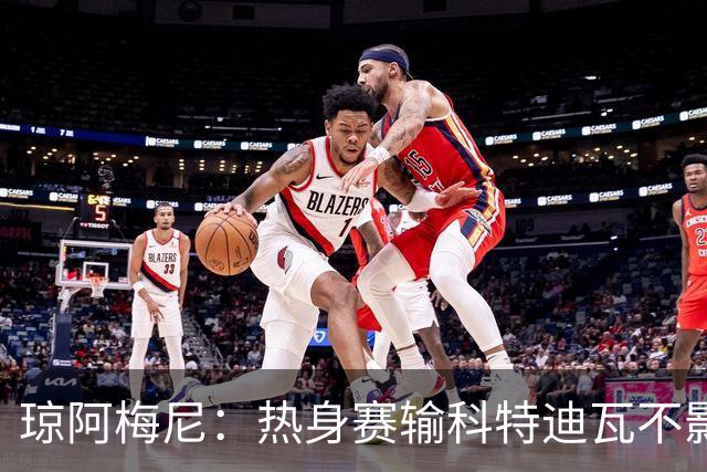 琼阿梅尼：热身赛输科特迪瓦不影响法国，可以说是一次小小的提醒